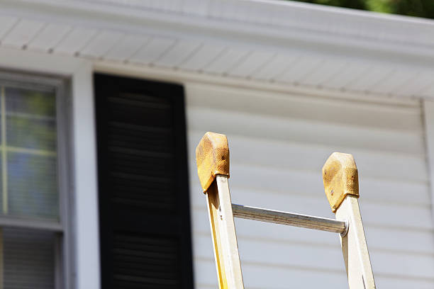 Best Vinyl Siding Installation  in Ruhenstroth, NV